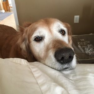 Meet your Posher, Brenda